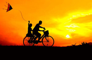 bici fase 2
