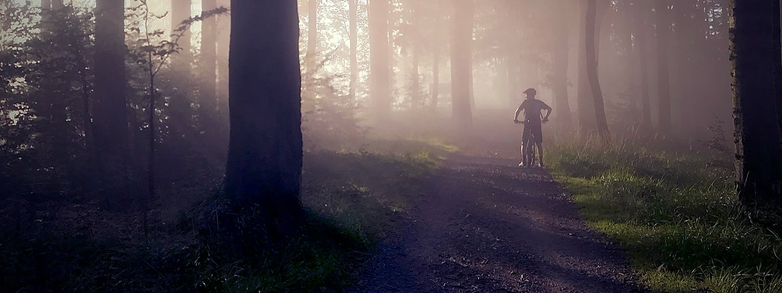 MTB bike. Mountain Bike